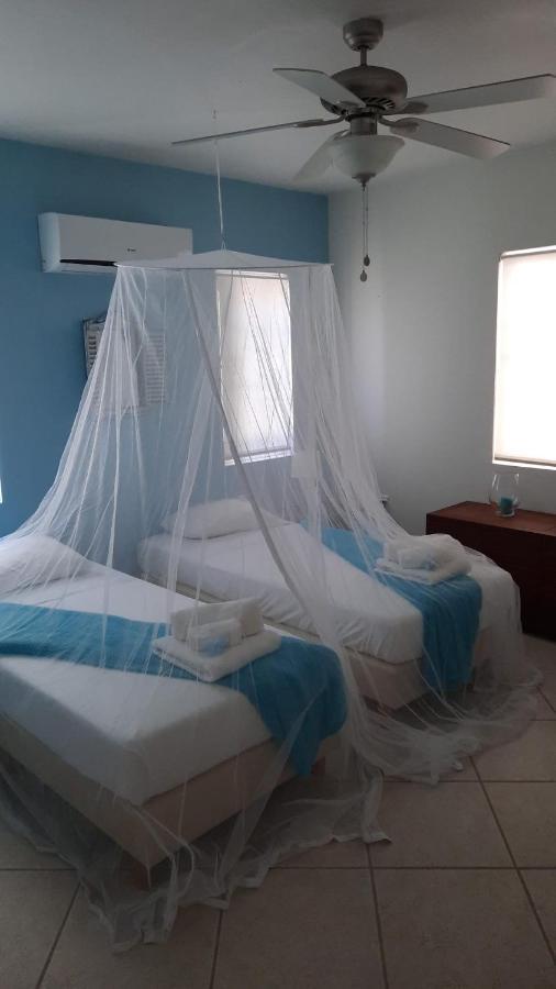 Villa Olivia Poolside Playa Dış mekan fotoğraf